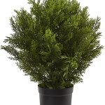 Nearly Natural 6880 2’ Cedar Artificial Bush (Indoor/Outdoor), Green