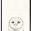 Stupell Industries Owl Portrait Grey Drawing Design, Designed by Victoria Borges Wall Art, 16 x 1.5 x 20, Black Framed