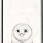 Stupell Industries Owl Portrait Grey Drawing Design, Designed by Victoria Borges Wall Art, 16 x 1.5 x 20, Black Framed